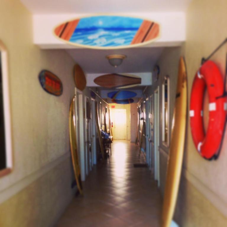 Surf Inn Hotel ฮอลลีวูด ห้อง รูปภาพ